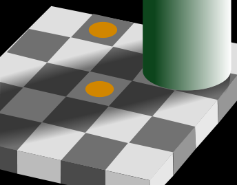 Optic Events: Adelson's Checkershadow Illusion
