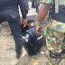 Underground Human-Part Factory Detected in Ikeja, Lagos State