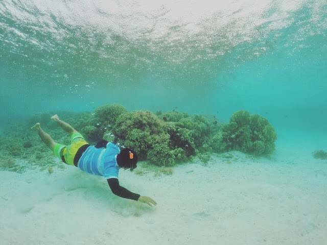 snorkeling di pulau maratua foto snorkeling di pulau maratua