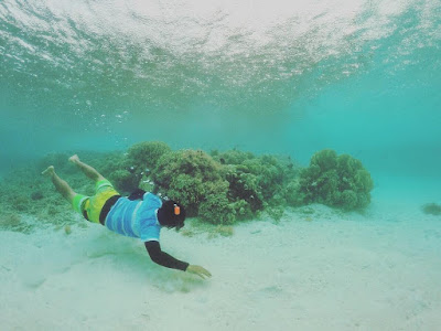 foto snorkeling di pulau maratua