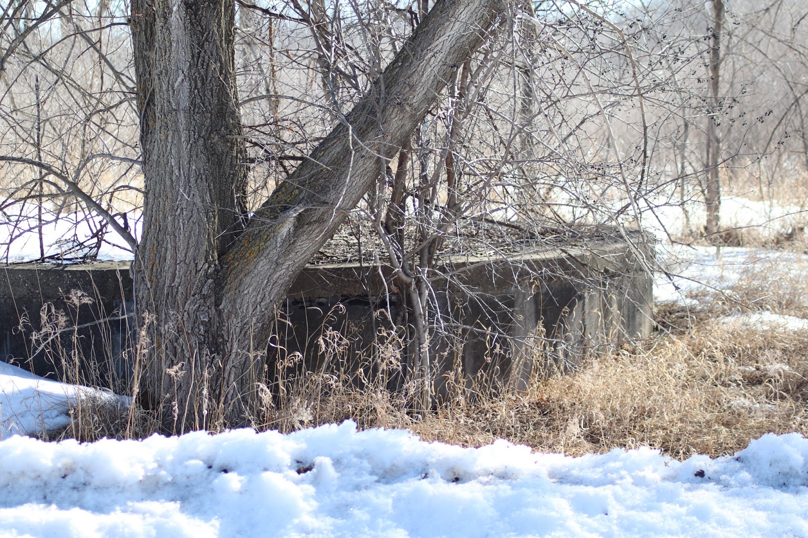 Abandoned World War II Munitions Factory Rosemount, MN Brianne Sieberg