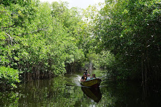 Black River, Jamaica.