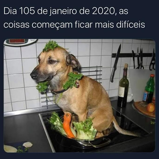 Memes engracados Memes engracados