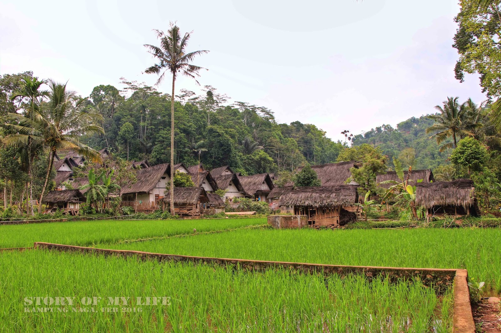 Story of My Life: Keunikan Kampung Naga