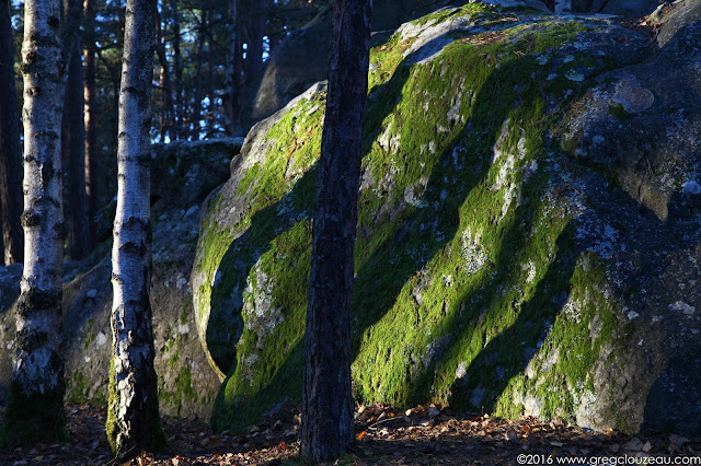 Clair-obscur à la Roche aux Sabots dans les Trois Pignons, (C) 2016 Greg Clouzeau Clair-obscur à la Roche aux Sabots dans les Trois Pignons, (C) 2016 Greg Clouzeau