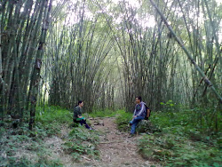 Komsing Bamboo Park, Komsing, Arunachal Pradesh