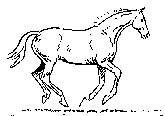 Eşkin at yürüyüşünü gösteren animasyon çizim