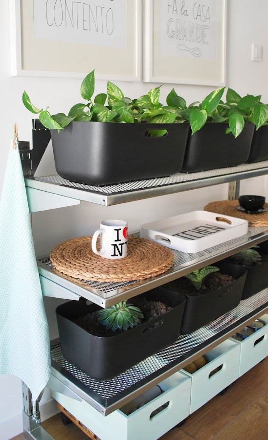  decoración cocina plantas http://www.mylittlebrunch.com/2014/05/my-home-un-rincon-verde-en-mi-cocina.html