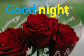 latest good night rose images