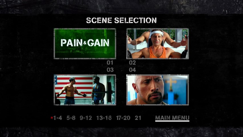 Pain.and.Gain.2013.DVD-LF-2.jpg