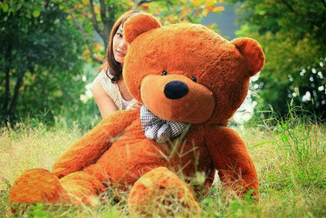 Teddy Day Shayari Teddy Day Shayari