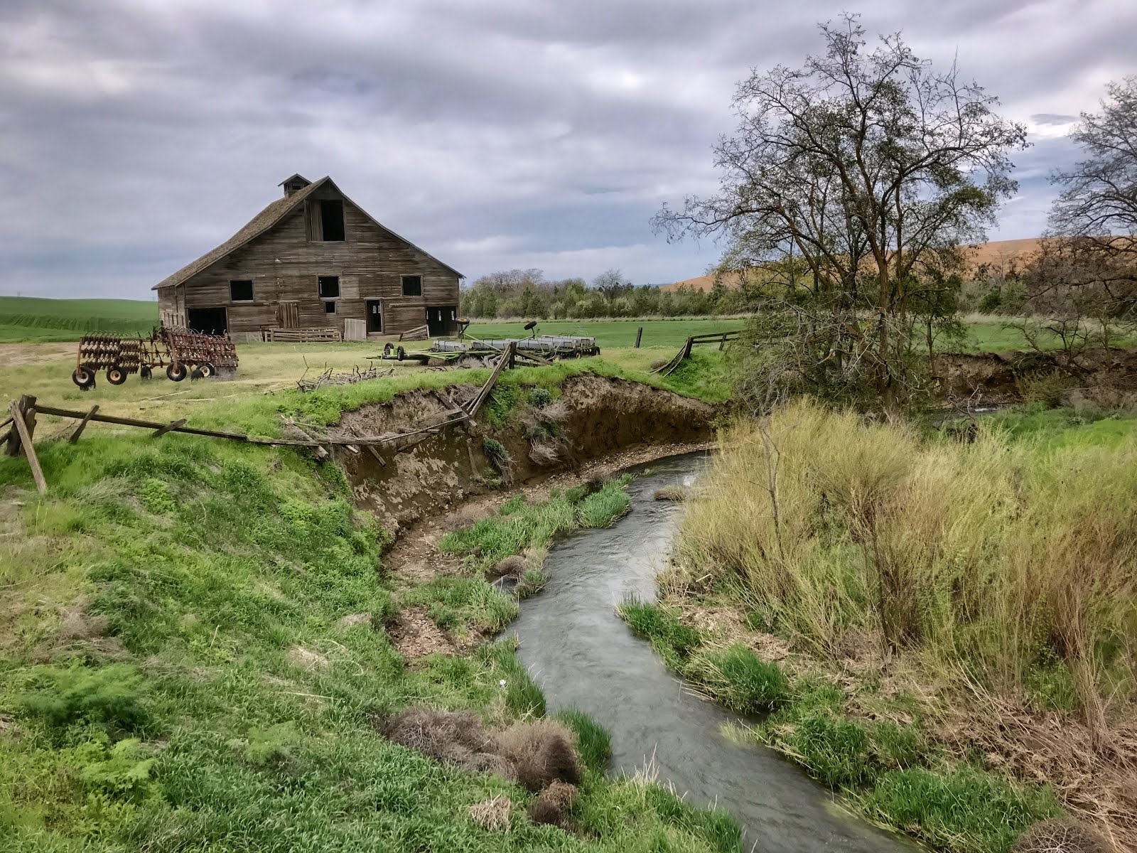 WALLA WALLA DAILY PHOTO As Seen By Susan LEARNING ON THE LAND2017