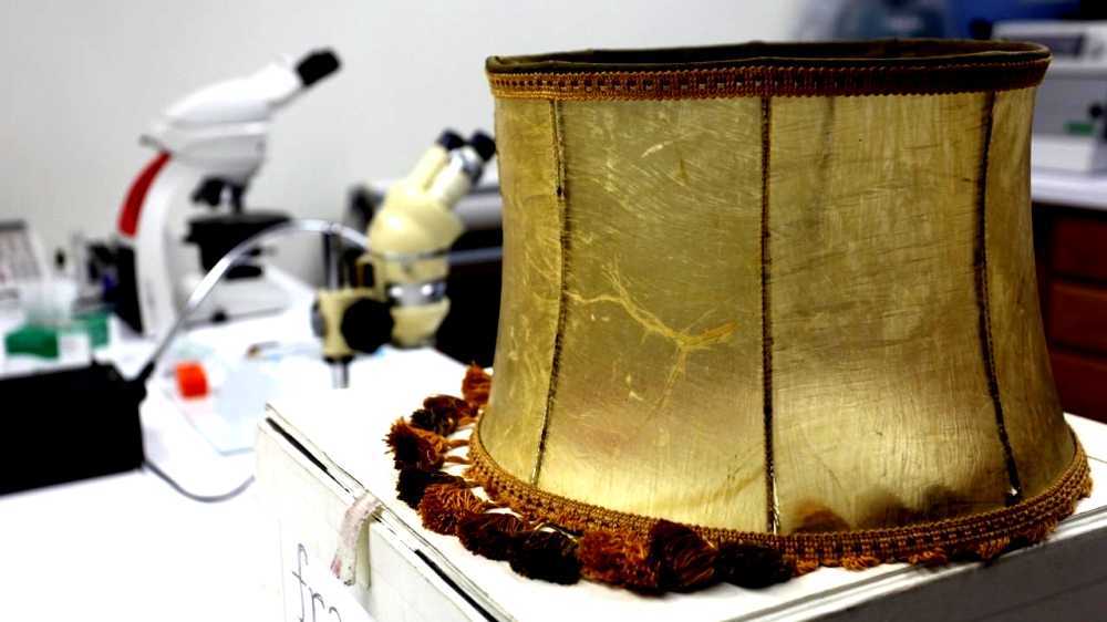 Lampshades made from human skin