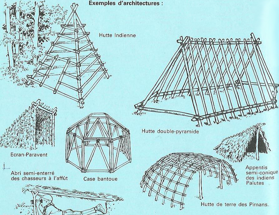 Comment construire un abri en forêt ?