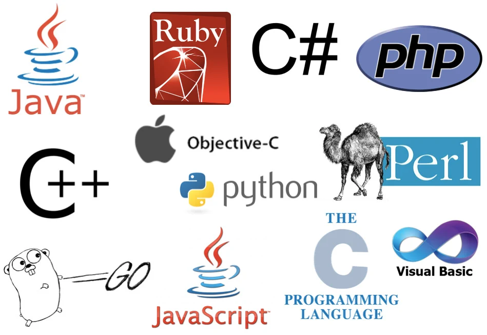 Want to Learn Coding? Your Ultimate Guide to Programming Languages and Careers