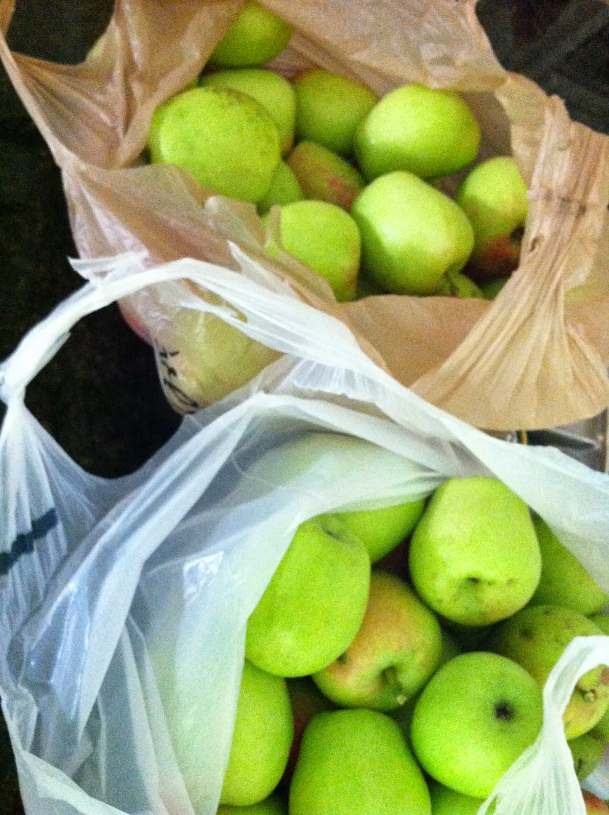 Hammock Haven Farm Low Chill Apples