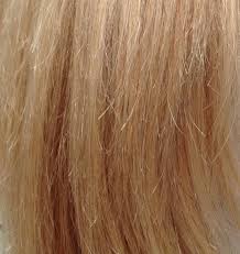 cabelo quebrado pre poo pre poo para cabelo quebrado