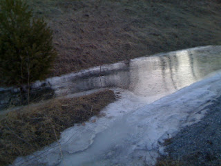 morgonpromenad%2B25%2Bmars%2B001 - Dagens vardagsmotion