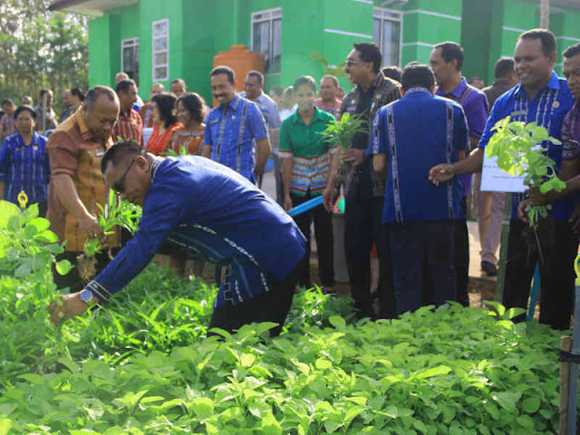 DPT MTB Sukses Laksanakan Program Pemanfaatan Halaman dan Pekarangan DPT MTB Sukses Laksanakan Program Pemanfaatan Halaman dan Pekarangan
