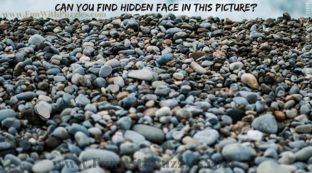 Picture Puzzle to find the hidden human face