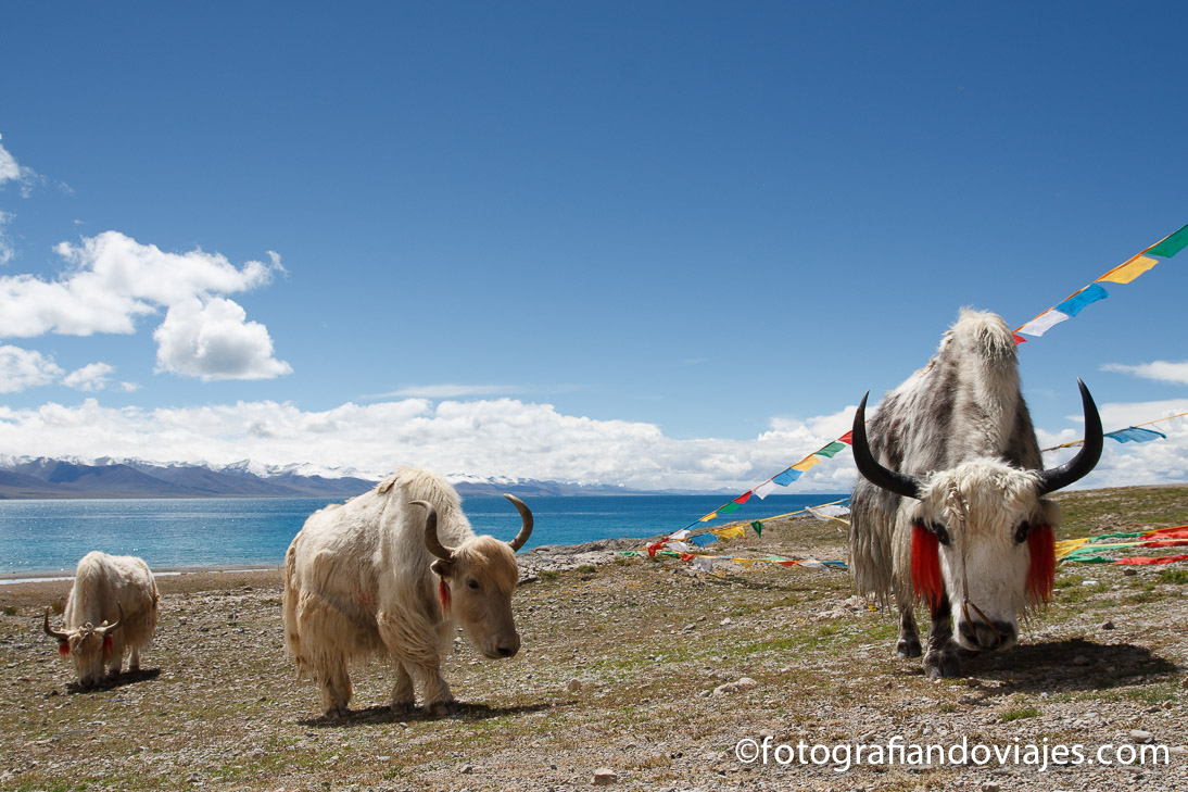Lago Namtso Tibet lago Namtso