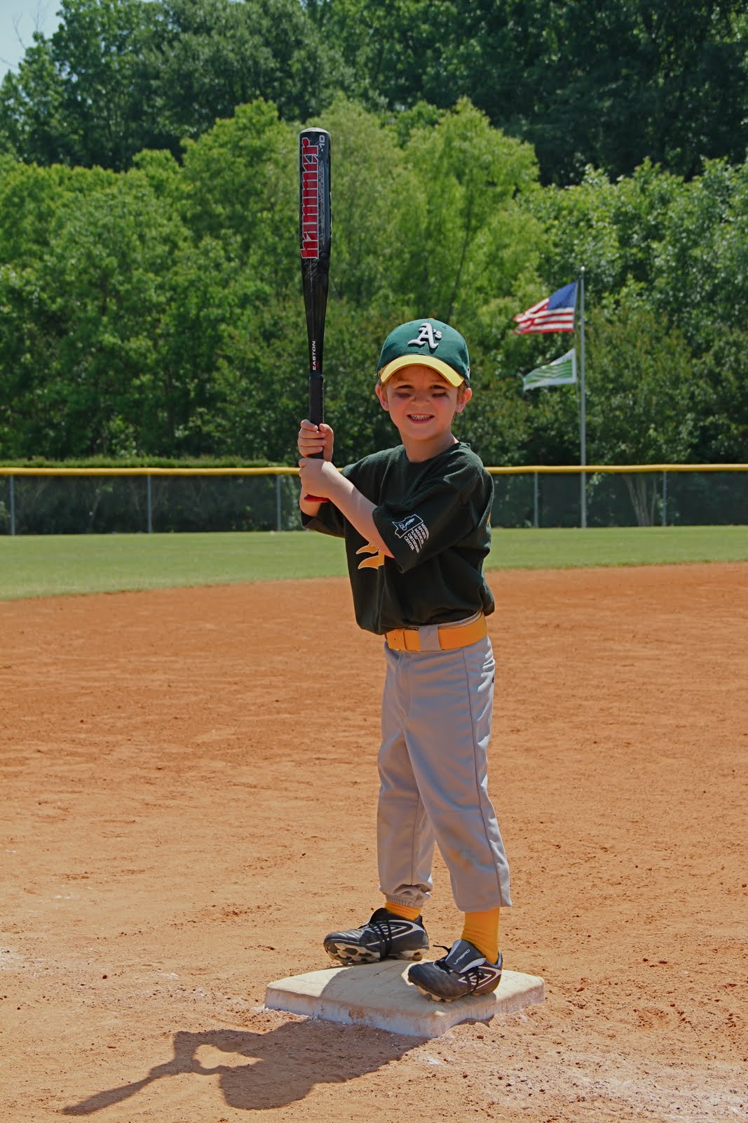 The Segrests Baseball 2011 Coach Pitch 