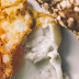 Quer ter um corpo magro e musculoso? Saiba o que comer de manhã
