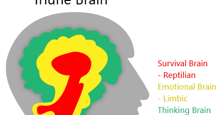 Educating the mind and the heart: The Triune Brain and its implications ...