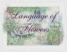 Language of Flowers Quarterly Challenge