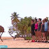 Survivor 2016 Ünlüler takımından ilk yorumlar! Survivor adasındaki ilk sözleri ne oldu?
