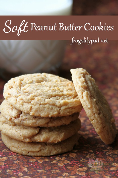 Fall in love with these Soft Peanut Butter Cookies recipe. You won't be disappointed and will know why my husband and son consider this the best recipe. frogslilypad.net