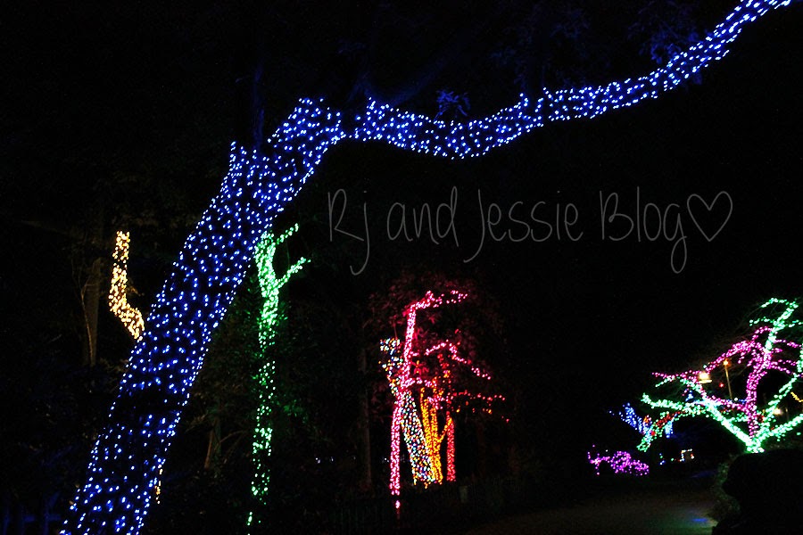 Sunday Snapshot Zoo lights at the Jacksonville zoo