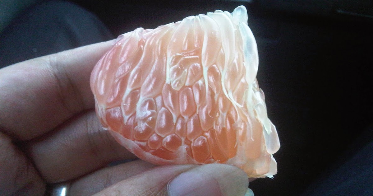 Jeruk Bali | Khasiat Jeruk Bali bagi Tubuh | Obat Tradisional