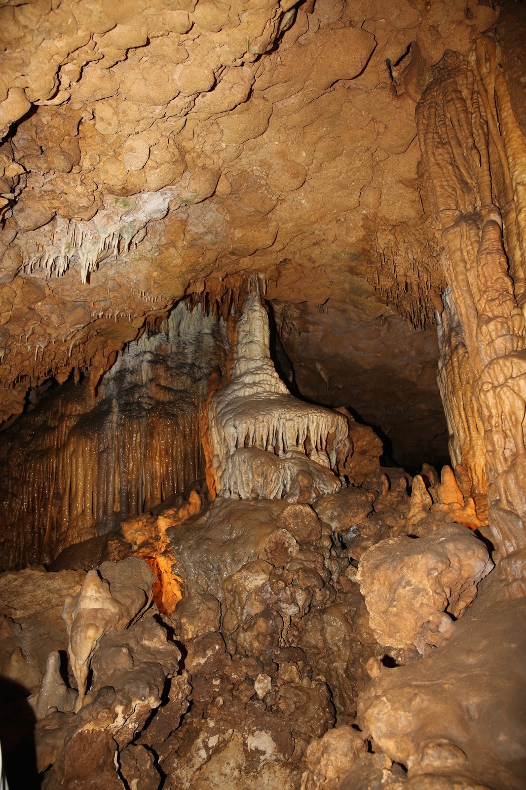 Sweet Southern Days Visiting The Florida Caverns in Marianna, Florida