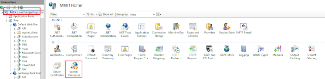 IIS Manager Worker Process IIS Manager Worker Process