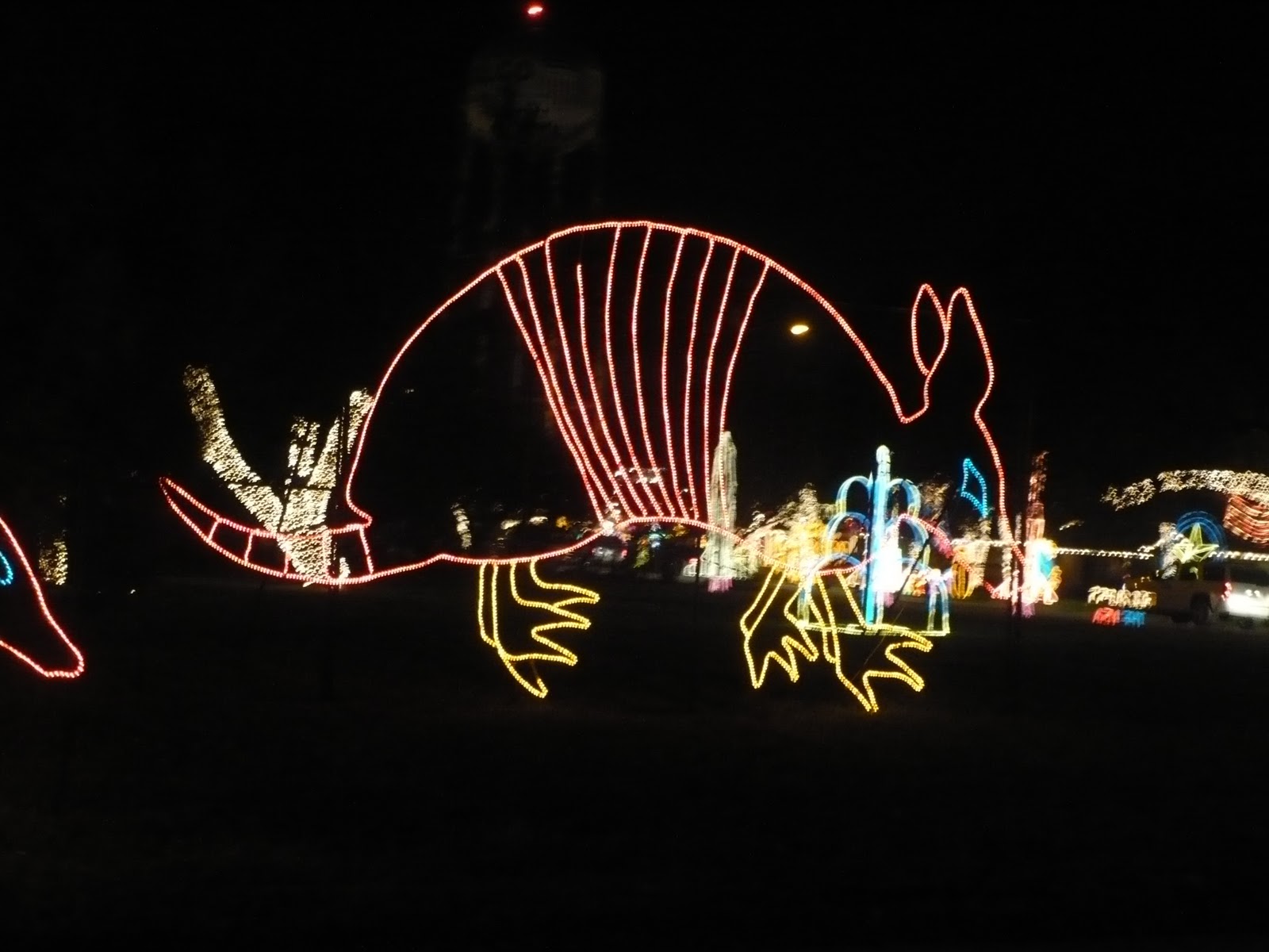 Brook Ridge Retirement Living Trip to Hidalgo Christmas Lights