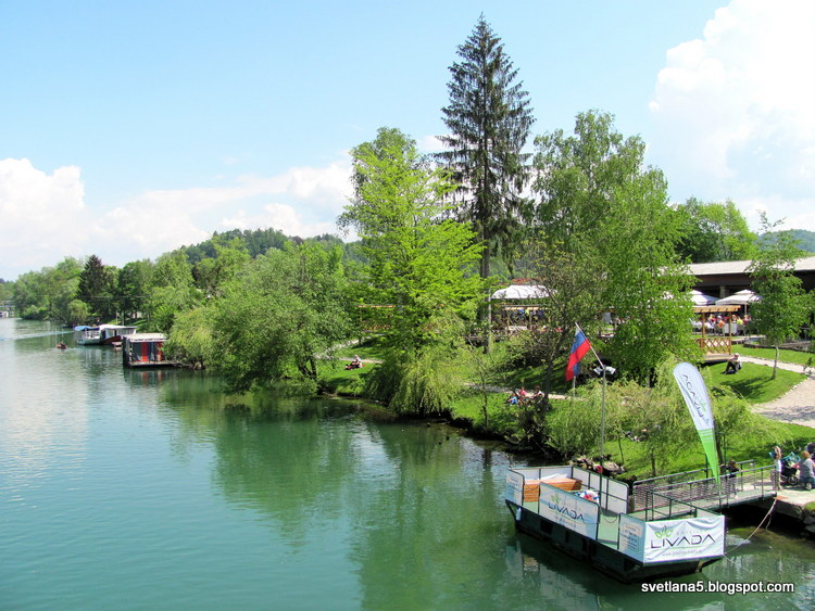 Livada, Ljubljanica Ljubljana