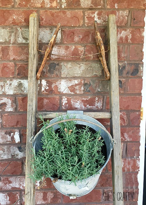 How to use a Vintage wooden ladder and vintage galvanized bucket for plants for Farmhouse front porch decor