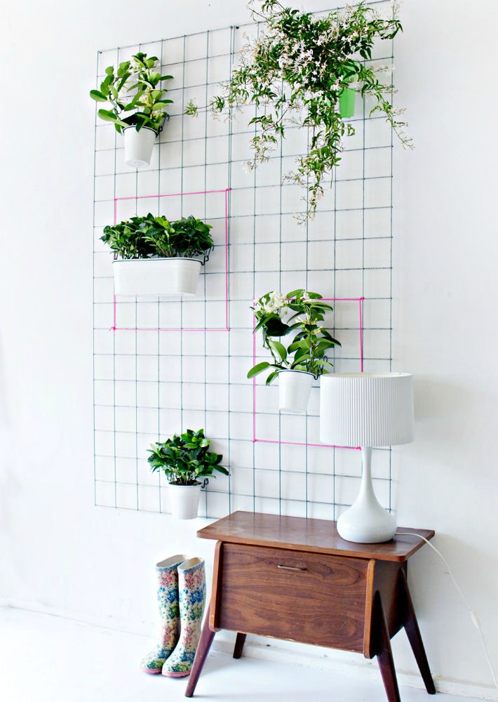 Diy jardín vertical para interior