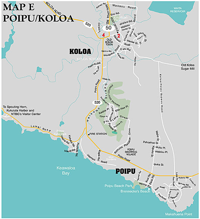 Otholt Family of Hawaii Life at Kōloa Plantation