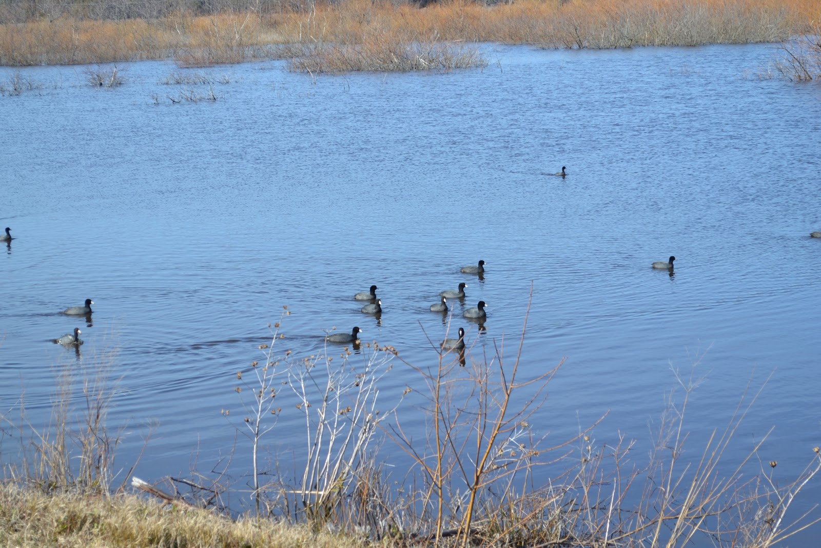 Blackwater (company) visual data 4