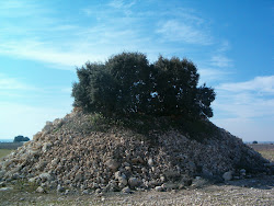 El árbol de las piedras