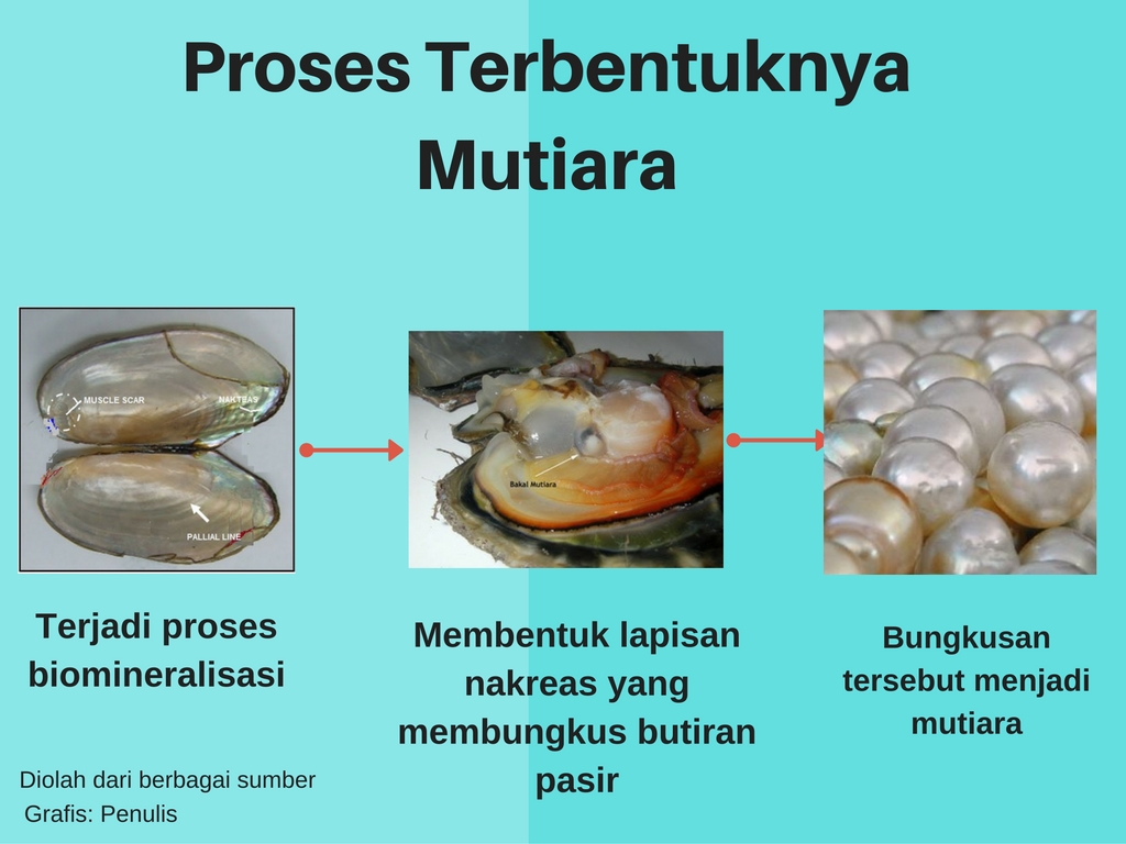 Integrity. One Word That Make Who You Are: Oktober 2016 Integrity. One Word That Make Who You Are Proses Pembentukan Mutiara