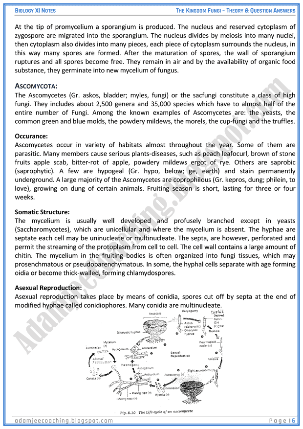 kingdom-fungi-descriptive-question-answers-biology-11th
