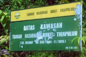 Wisata Alam di Taman Nasional Bukit Tiga Puluh Habitatnya Wisata Alam di Taman Nasional Bukit Tiga Puluh Habitatnya