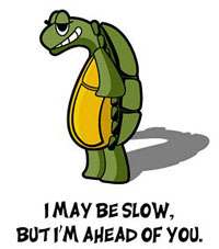 slow-turtle.jpg