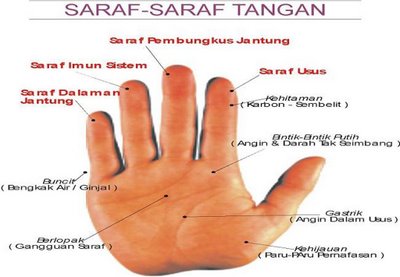 Tamar Cocoa Stokis Tamar Cocoa Johor Rawatan Alternatif Diagnos Penyakit Melalui Tapak Tangan