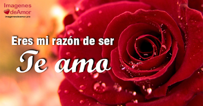 Imagenes lindas del dia de las madres, tarjetas y pensamientos Imagenes lindas del dia de las madres, tarjetas y pensamientos