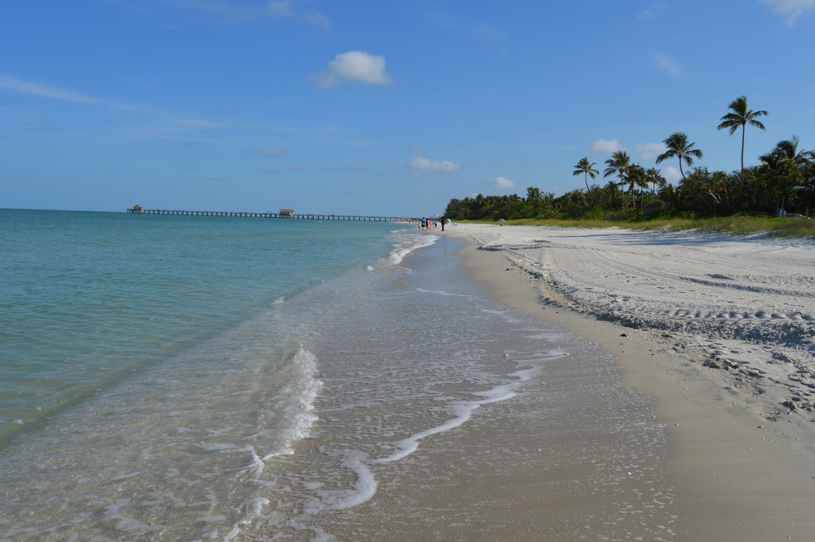 Clearwater Beach Florida Waterfront Homes and Condominiums