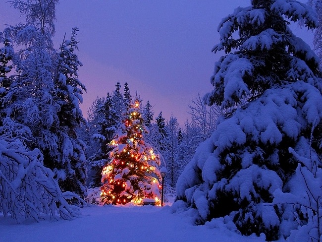Imagini Craciun, Felicitari craciun, Winter wallpapers: Christmas vs